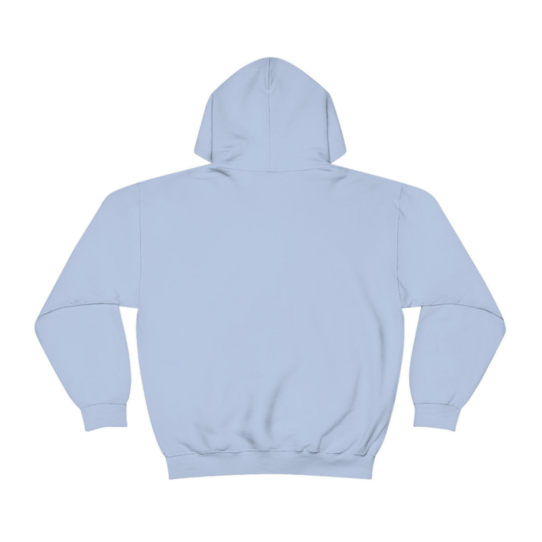 Julia's BDH Fun Unisex Heavy Blend™ Hooded Sweatshirt